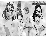 Love Hina 13.jpg